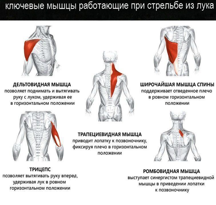 Информация по торгам 0812100000320000005